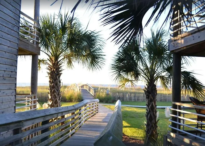 Needle Rush Point B32 Pensacola
